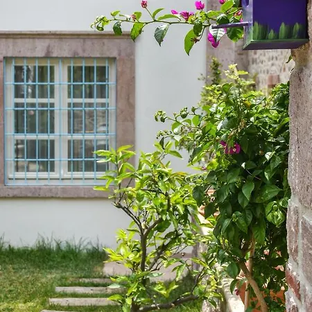 Lunaria بيت ضيافة